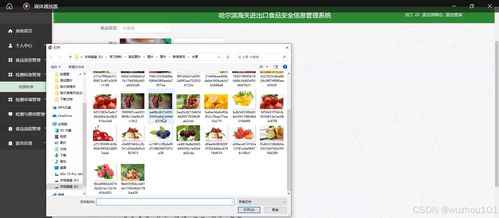 基于ssm vue哈尔滨海关进出口食品安全信息管理系统