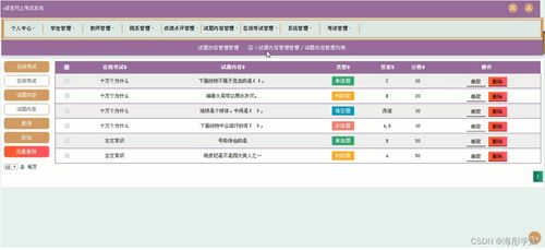 java jspc语言网上考试系统26b2t规划与实现适合自己的毕业设计的策略